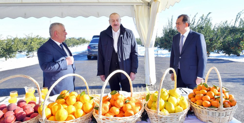 Ilham Eliyev Lenkeran rayonuna sefer edib