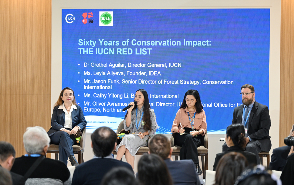 Leyla Eliyeva COP29 cercivesinde nadir canlilarin muhafizesine hesr olunan panel muzakirelerinde istirak edib