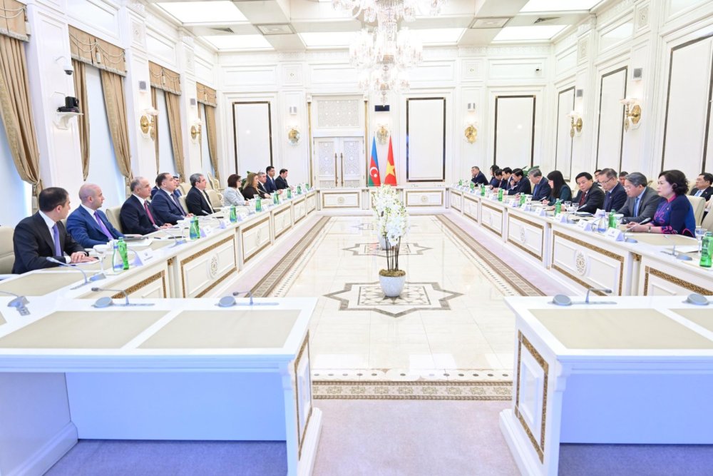 Azerbaycan ve Vyetnam arasinda qarsiliqli elaqelerin ugurla inkisaf etdirilmesi muzakire olunub