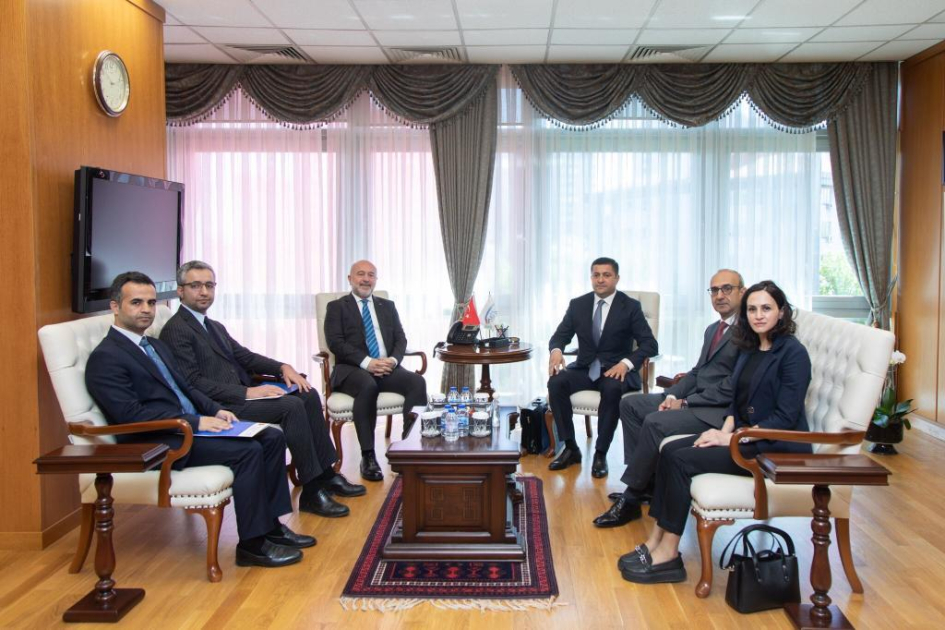 Turkiyede pese reabilitasiyasi ve sosial mudafie sahesinde tecrube mubadilesine dair muzakireler aparilib