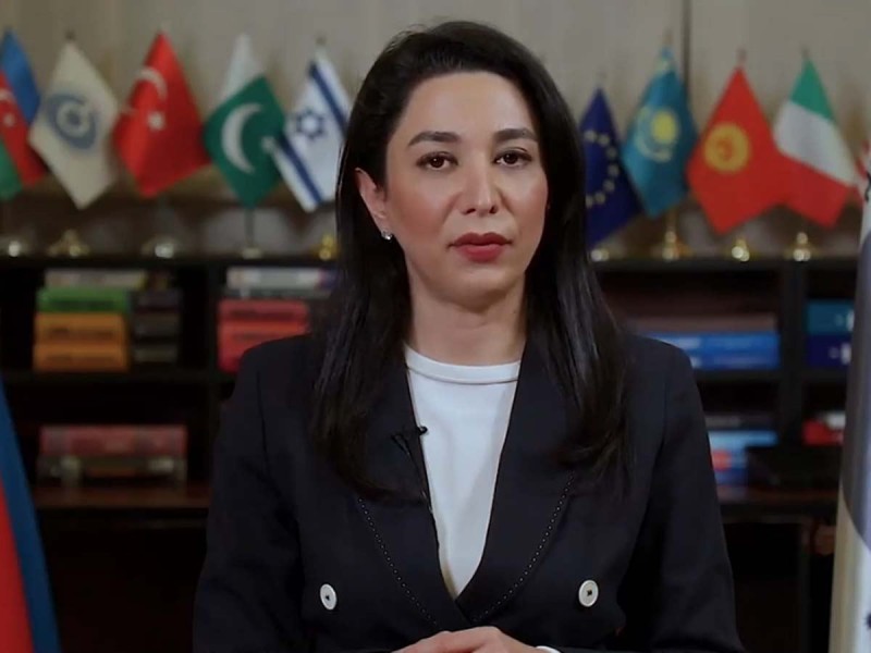 “Insan huquqlari cemiyyetin inkisafinda temel prinsiplerinden biridir” - Ombudsman