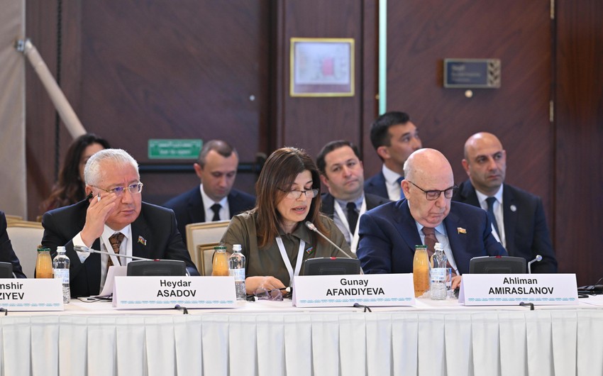 Gunay Efendiyeva: Azerbaycan, Qazaxistan, Qirgizistan ve Turkiye tehsil sahesinde ortaq dil ve deyerlerle hereket etmelidir