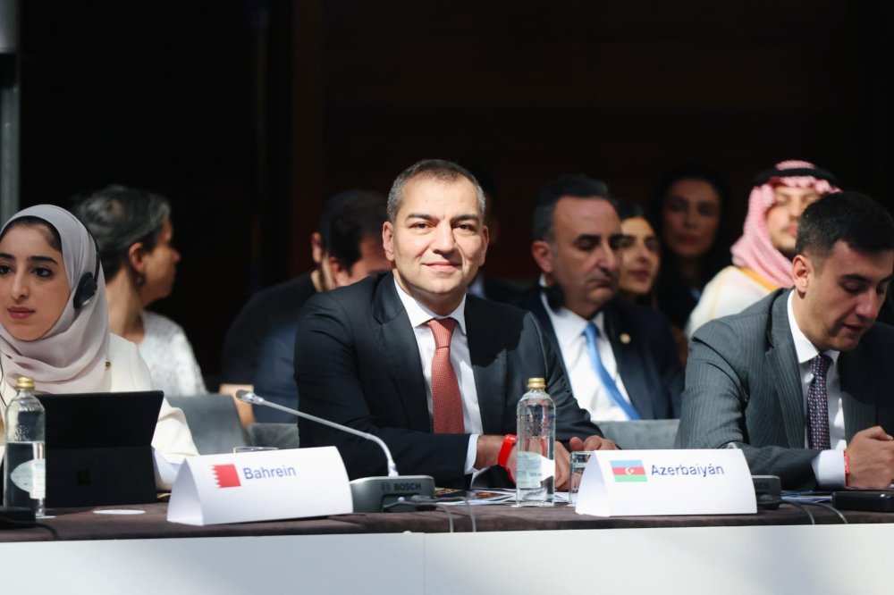 Azerbaycan BMT Turizmin Icraiyye Surasinin 123-cu sessiyasinda temsil olunub