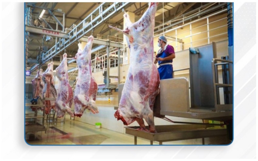 Qurbanliq heyvanlarin satisi ve kesimi xidmetleri gosterilecek unvanlar aciqlanib