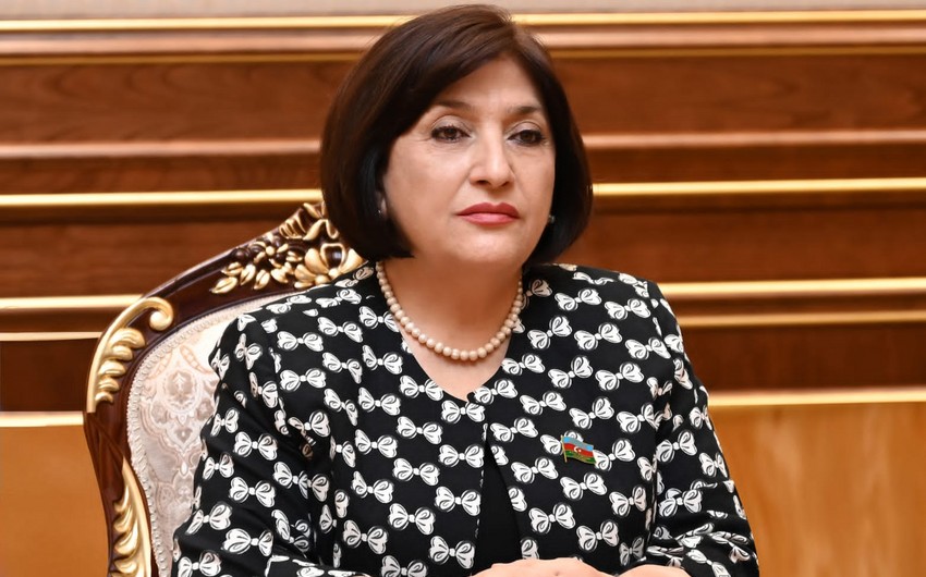 Sahibe Qafarova Azerbaycanin TURKPA-ya sedrliyi barede hesabat verib