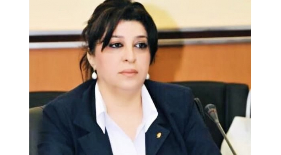 Polis Gunu: Azerbaycanin kesikcileri haqqinda dusunceler