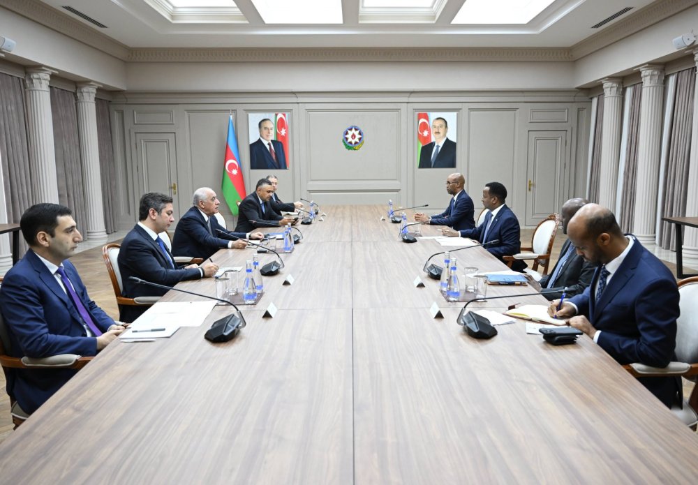 Azerbaycan ve Somali arasinda muxtelif sahelerde emekdasliq imkanlari muzakire edilib