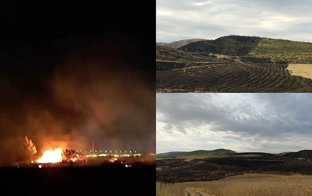 Sabrandaki yangina gore 2 nefer saxlanildi - Foto