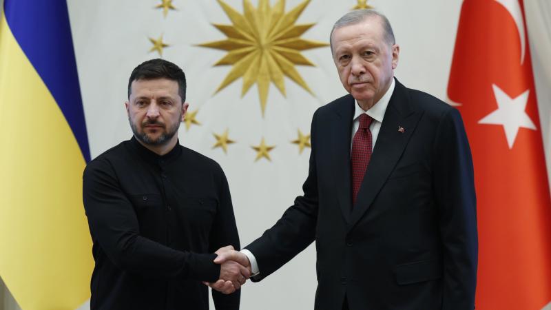 Erdogan Zelenski ile danisiqlar apardi