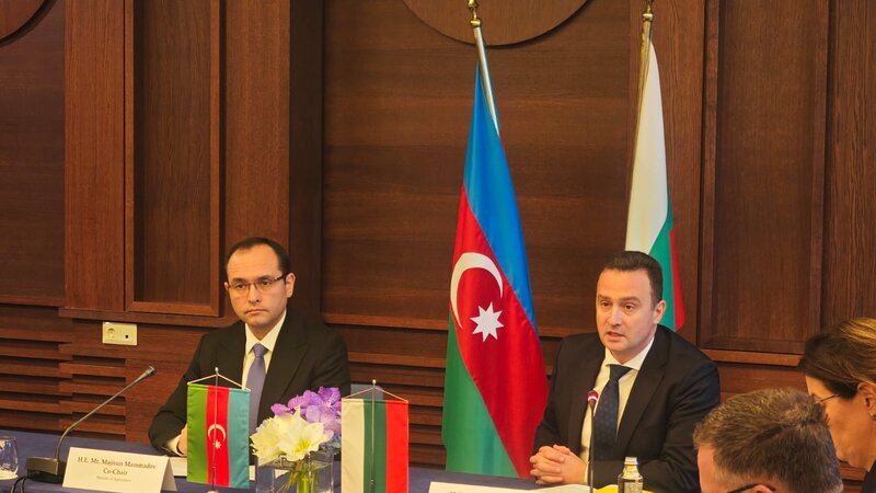 Azerbaycan ve Bolqaristan arasinda iqtisadi emekdasligin genislendirilmesi muzakire olundu