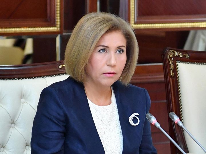 Komite sedri: Bezi bolgelerde ve ucqar kendlerde tehsile cixisda mueyyen cetinlikler var