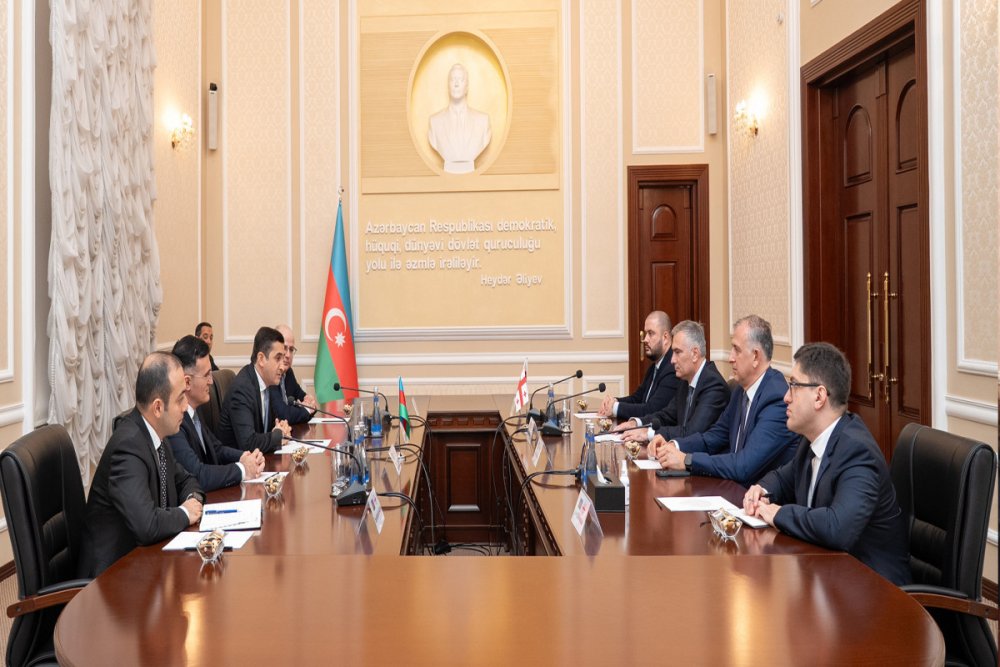 Gurcustanin edliyye naziri Azerbaycana gelib