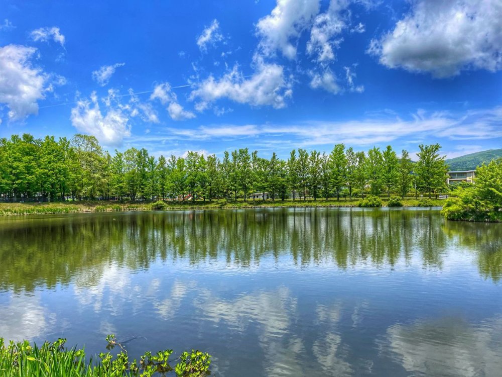 “Ekonebz: Tebietin Reqemsal Sesleri” layihesi ekoloji maariflendirmeye innovativ yanasma getirdi