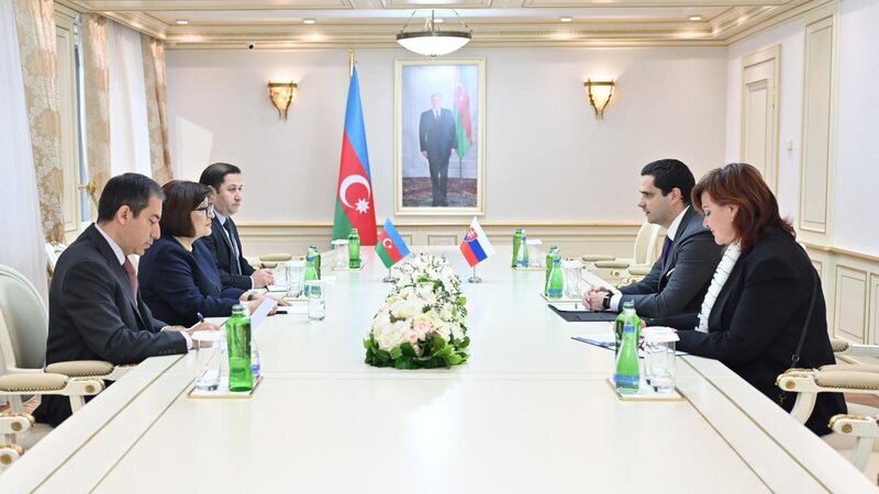 Sahibe Qafarova Slovakiyanin olkemizdeki sefiri ile gorusub