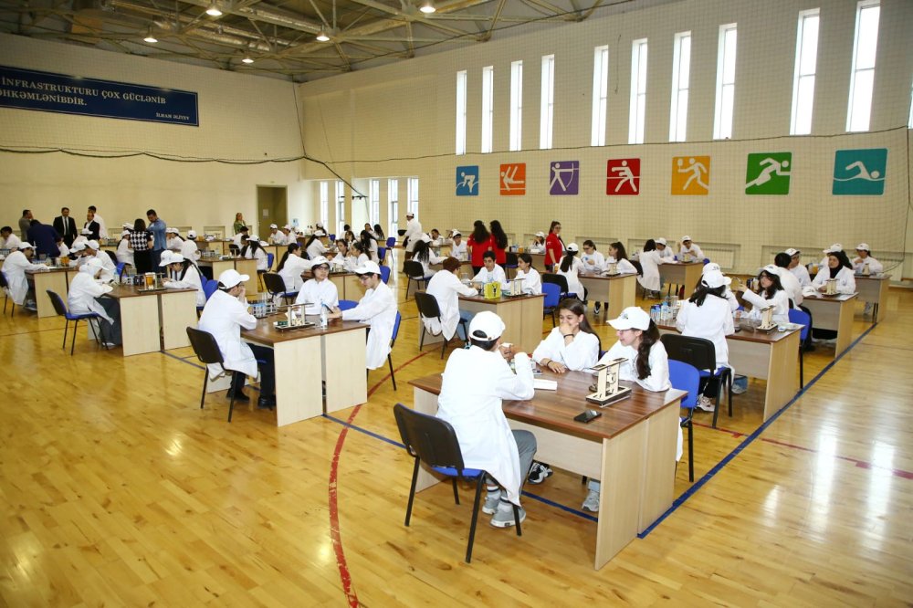 BSTI terefinden 17 layihe ve musabiqe heyata kecirilib