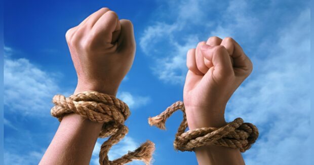 &ldquo;Amnistiya akti hemreylik tezahudur ve cemiyyetin saglamlasdirilmasina xidmet edir&rdquo; &ndash; Cavansir Feyziyev