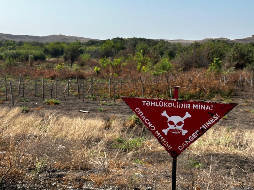 Oten hefte 875 hektardan cox erazi minalardan temizlenib