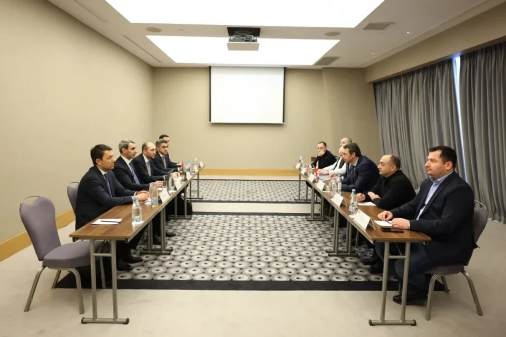 ADY sedri gurcustanli hemkari ile gorusub