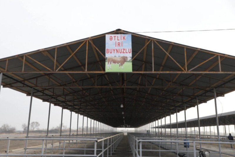 Imislide heyvan satisi bazari acilib