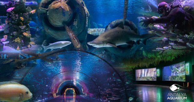 Antalyanin tematik parklari bu qis ve yazda da qonaqlarini gozleyir &ndash;&nbsp;FOTOLAR
