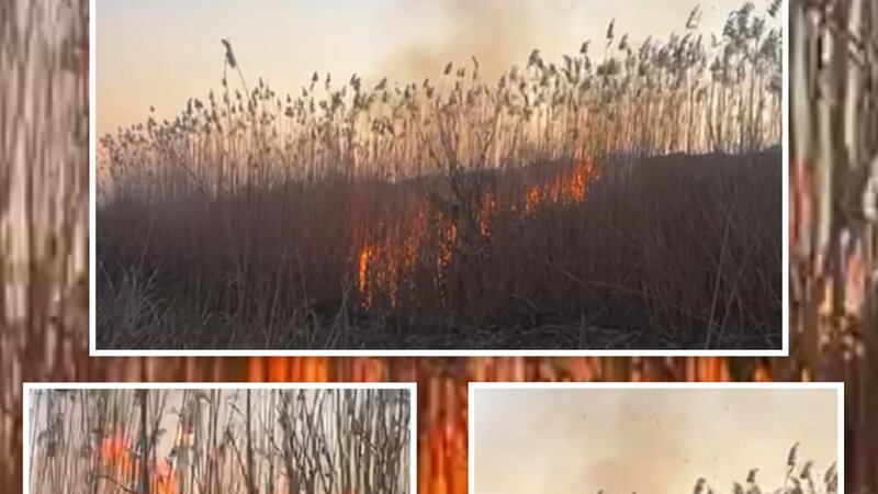 Cebrayilda yangin toreden sexs mesuliyyete celb olundu