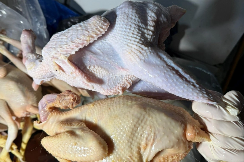 Xirdalanda sintetik madde ile renglenen toyuqlarin satisinin qarsisi alinib